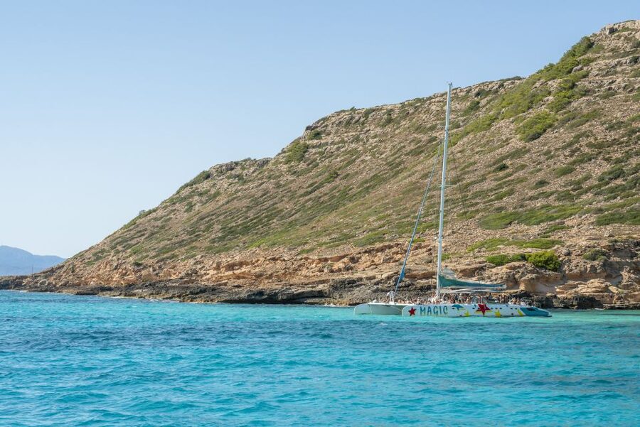 Palma de Mallorca: 5-Hour Catamaran Cruise with Lunch & Swim - Practical advice before you board