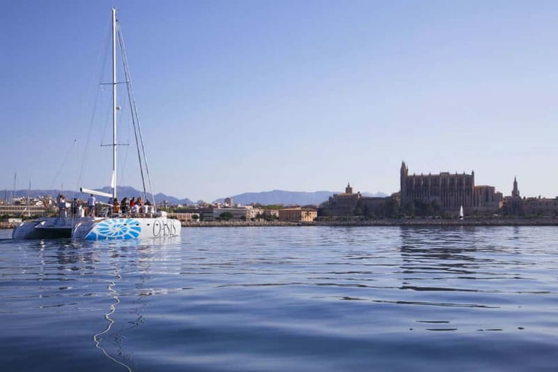 Palma de Mallorca: Deluxe Catamaran Sailing Tour with Meal - Is this Palma catamaran tour worth $97?