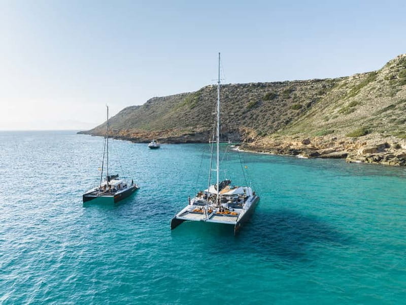 Palma de Mallorca: Half-Day Catamaran Tour with Buffet Meal - From Palma marina to open water