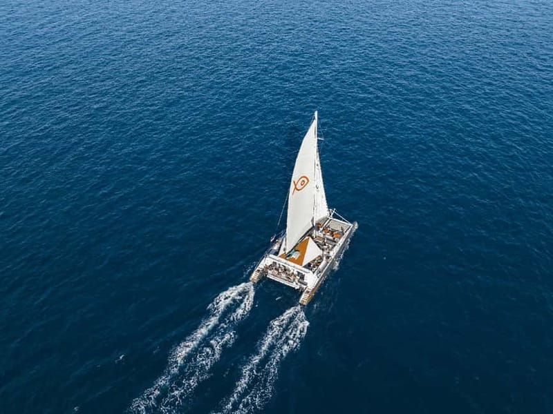 Palma de Mallorca: Half-Day Catamaran Tour with Buffet Meal - Cala Vella and the swimming stop