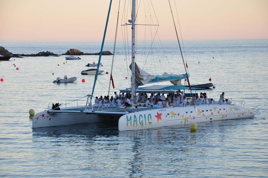 Palma de Mallorca: Sunset Sailing Catamaran Trip with Drink - What this Palma sunset cruise is really like