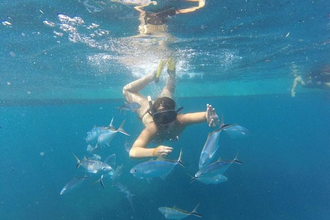 Party boat in Catamaran with Open Bar Only Adults + Snorkeling - Is $52.25 good value?