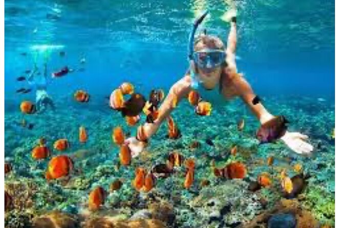 Party Catamaran and Snorkeling Tour in Montego Bay - Margaritaville and the backup plan