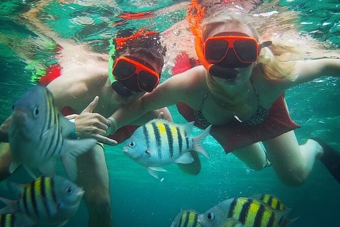 Party Catamaran Cruise with Open Bar and Snorkeling Montego Bay - What this Montego Bay catamaran cruise is really about