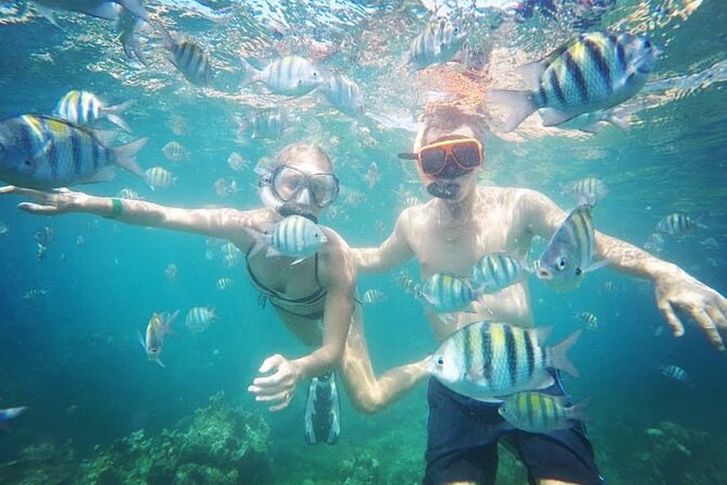 Party Catamaran Cruise with Open Bar and Snorkeling Montego Bay - Who should book this cruise?