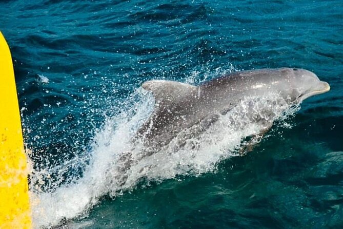 PARTY Catamaran Cruise with Snorkeling Rick's Cafe ADULTS ONLY - Rick’s Café and the sunset finale