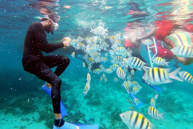 Party Catamaran: OpenBar, Music, Negril Beach, Caves, Snorkeling - Rick’s Cafe by sea, with a few conditions