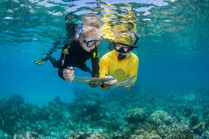 Passions of Paradise Great Barrier Reef Cruise by Catamaran - Two reef sites chosen for the day