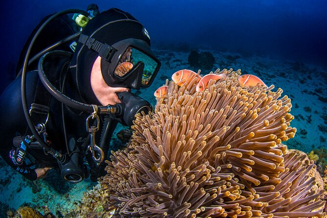 Passions of Paradise Great Barrier Reef Cruise by Catamaran - Lunch, snacks, and the practical comfort factor