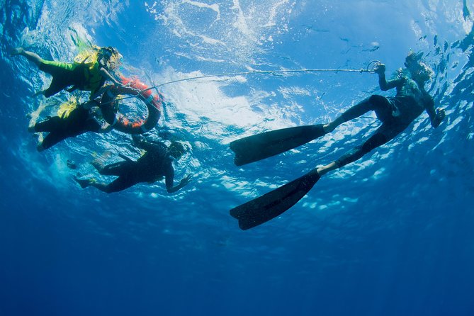 Passions of Paradise Great Barrier Reef Cruise by Catamaran - A crew that takes safety seriously