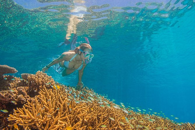 Passions of Paradise Great Barrier Reef Cruise by Catamaran - Is the $192.94 price good value?