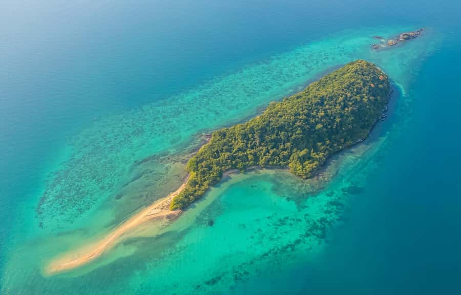Pattaya: 3 Islands Day Tour on Catamaran with Buffet Lunch - Monkey Island: the memorable final stop