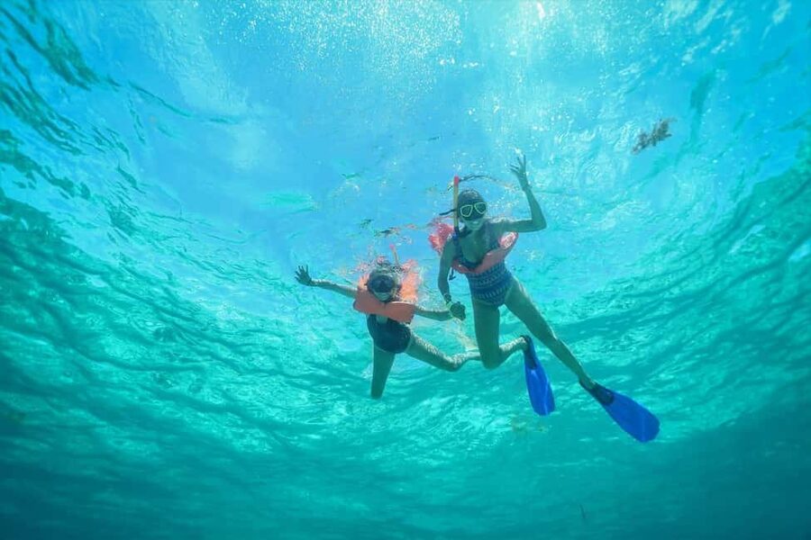 PDC: Isla Mujeres Catamaran Tour with Snorkeling - The atmosphere, music, and open bar
