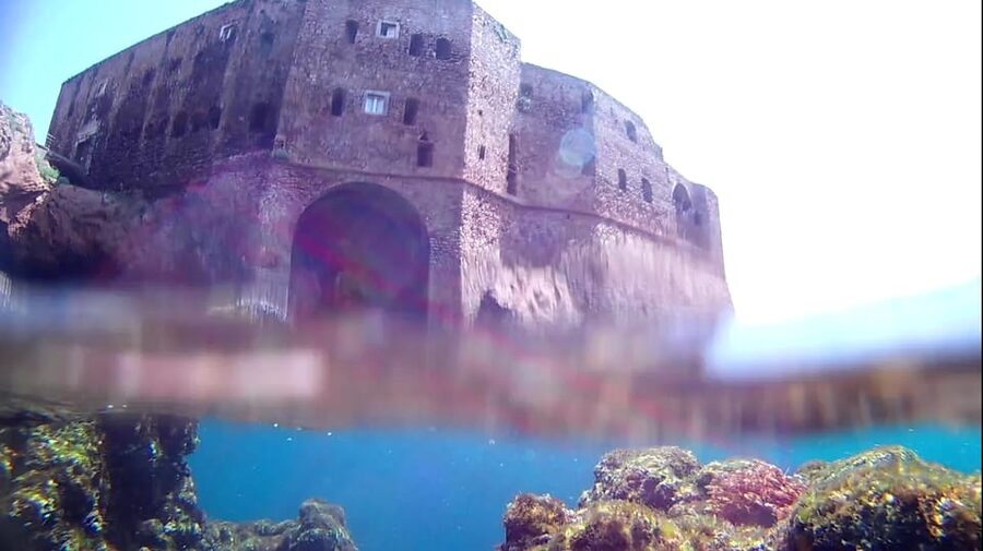 Peniche: Berlengas Island Catamaran Tour + Snorkeling - Who will enjoy this trip most