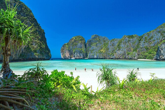 Phi Phi & Bamboo Island Full Day Tour by Premium Speed-Catamaran - Viking Cave and Monkey Beach from the water