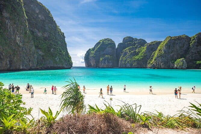 Phi Phi Islands and Khai Island by Premium Speed Catamaran - Monkey Bay offers a brief wildlife stop