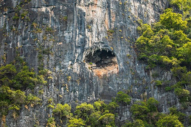 Phi Phi, Maya, Khai and Pileh Day Trip by Speed Catamaran From Phuket - Pileh Bay and Viking Cave