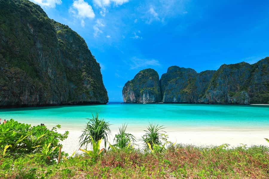 Phuket: Bamboo Island and Phi Phi Islands by Fast Catamaran - Monkey Beach from the water