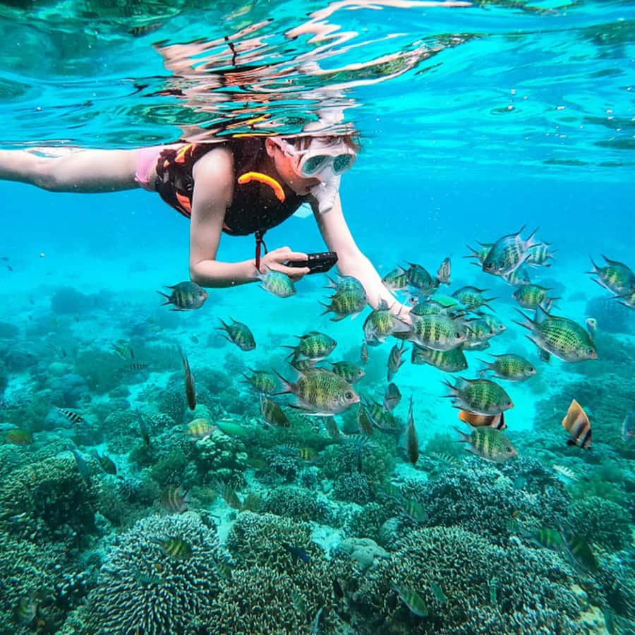 Phuket: Coral and Racha lslands Catamaran Tour with Lunch - Who should book this Coral and Racha day trip?