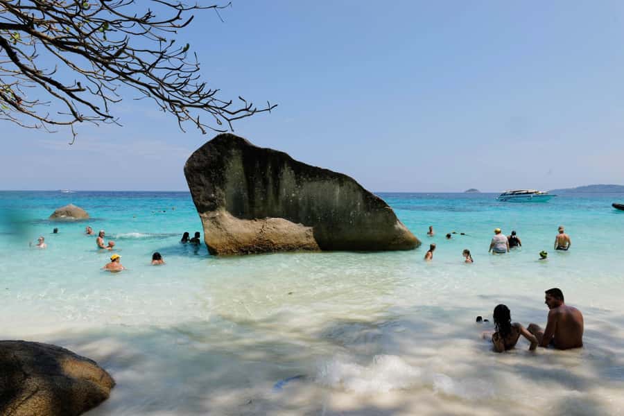 Phuket/Khao Lak: Similan Royal Day Trip by Speed Catamaran - Early pickup and the Wow Andaman pier