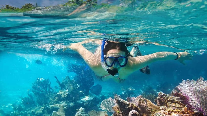 Phuket : Lazy Similan Islands by Catamaran with lunch - Safety and suitability