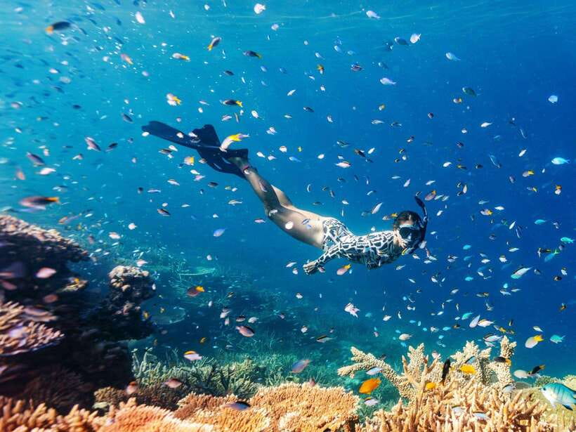 Phuket: Phi Phi, Maya and Khai Or Bamboo Island by Catamaran - What the $107 price really buys you