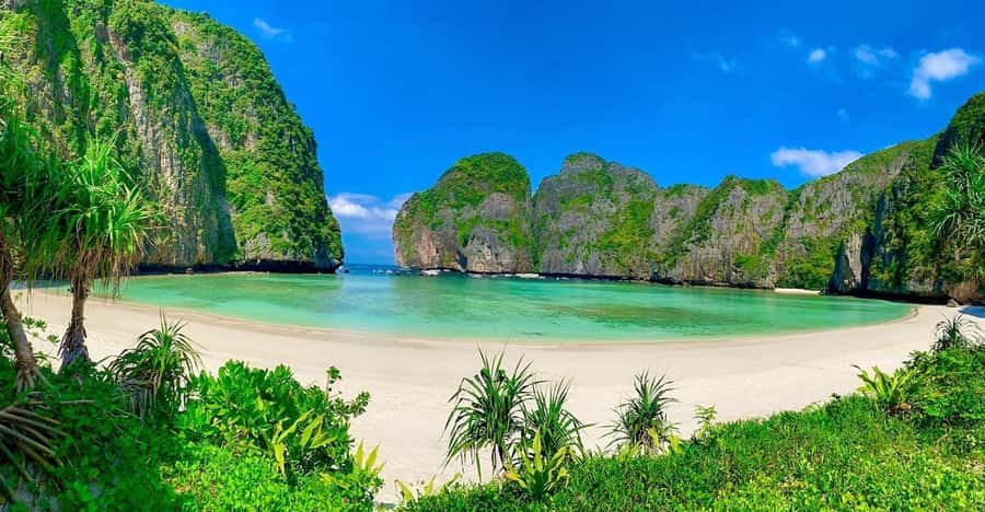 Phuket: Phi Phi, Maya, Koh Khai Day Tour by Speed Catamaran - Key points to know before booking