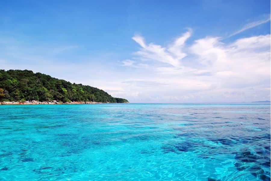 Phuket: Similan Island Day Trip by Speed Boat Catamaran - How large is the boat experience?
