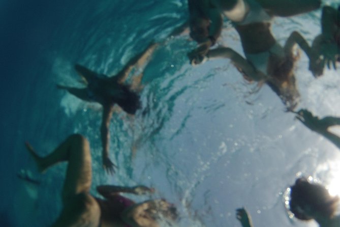 Platja de Migjorn Private Catamaran Full Day Trip - Price: Best for a Full Group