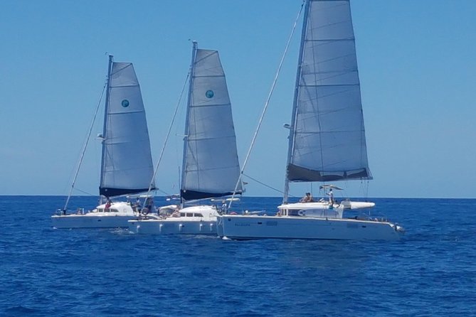 Playa Ses Platgetes Catamaran Private Trip - Setting off from Es Molí de Sal at 10 a.m.