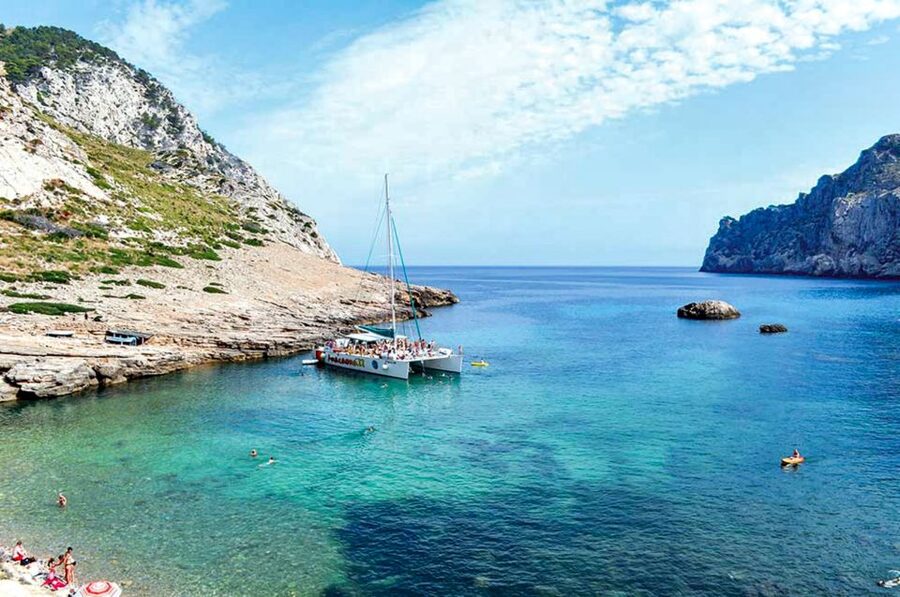 Port d'Alcudia: North Coast Catamaran Cruise with Meal - Who Will Enjoy This Cruise Most?