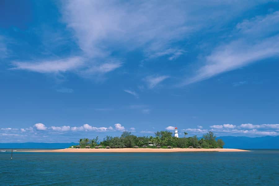 Port Douglas: Low Isles Afternoon Cruise on Luxury Catamaran - Glass-bottom viewing when you prefer to stay dry