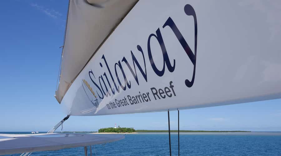 Port Douglas: Low Isles Afternoon Cruise on Luxury Catamaran - Afternoon tea, scones, and sunset canapés