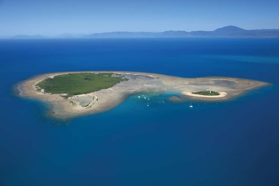 Port Douglas: Low Isles Afternoon Cruise on Luxury Catamaran - The 15-kilometre crossing and first meal