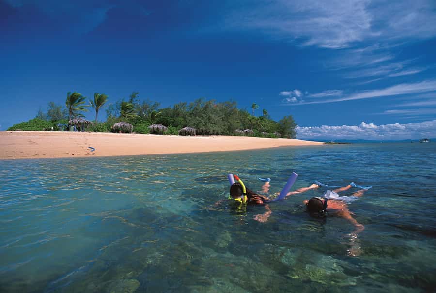 Port Douglas: Reef & Low Isles Cruise on Luxury Catamaran - Guided snorkeling in shallow reef water