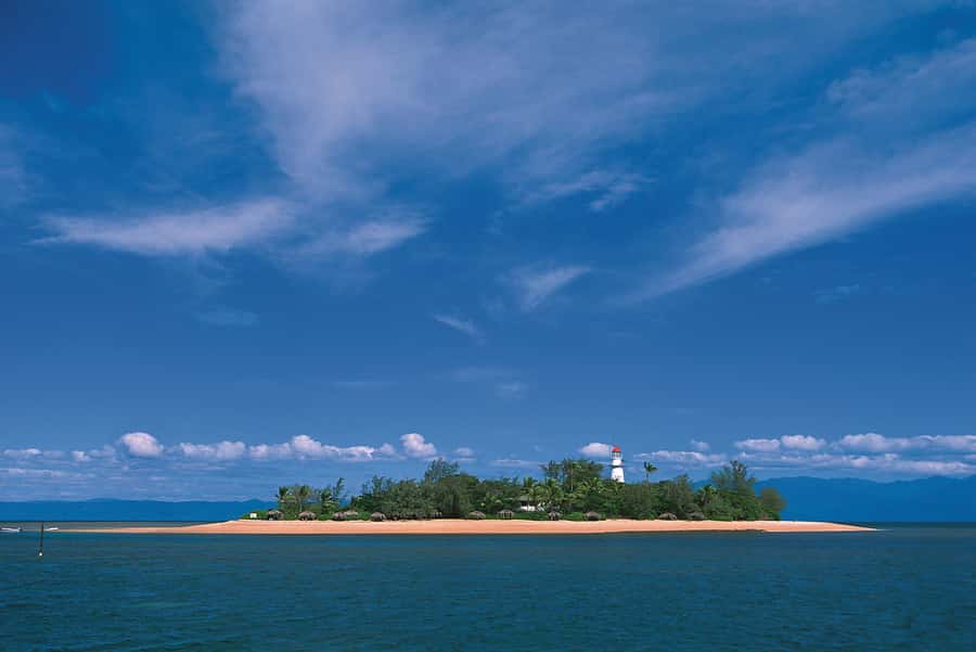 Port Douglas: Reef & Low Isles Cruise on Luxury Catamaran - Glass-bottom boat and reef interpretation