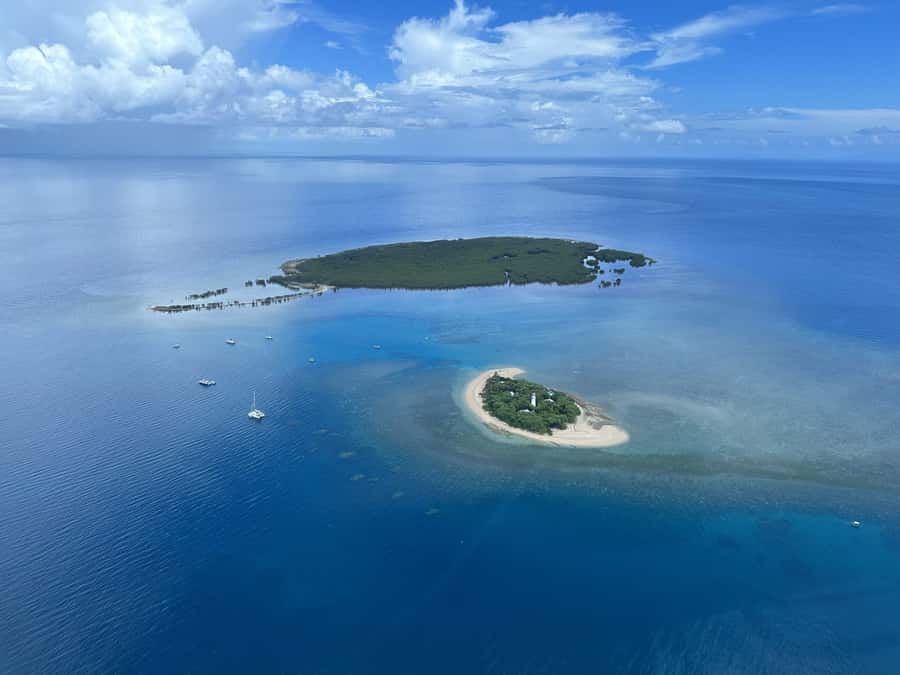 Port Douglas: Reef & Low Isles Cruise on Luxury Catamaran - Lunch, tea, and the value of the $240 fare