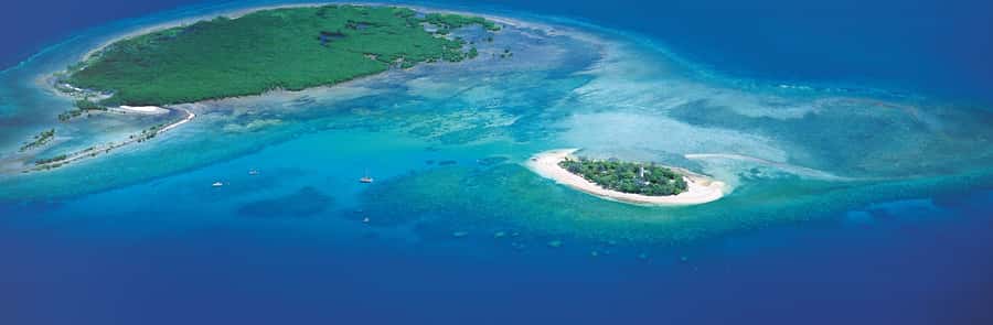 Port Douglas: Reef & Low Isles Cruise on Luxury Catamaran - What to bring for a comfortable day