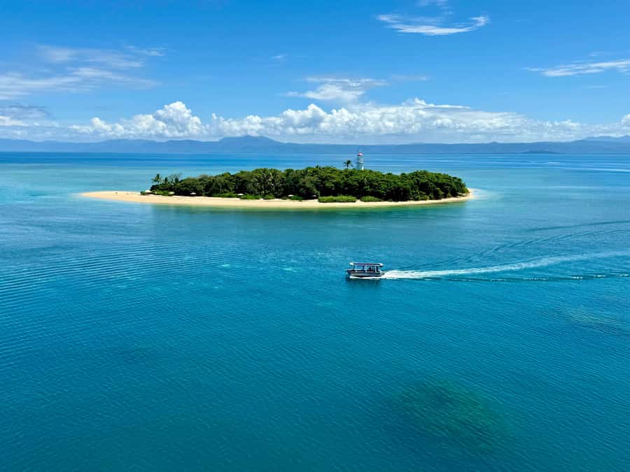 Port Douglas: Reef & Low Isles Cruise on Luxury Catamaran - Is the Sailaway Low Isles cruise worth booking?