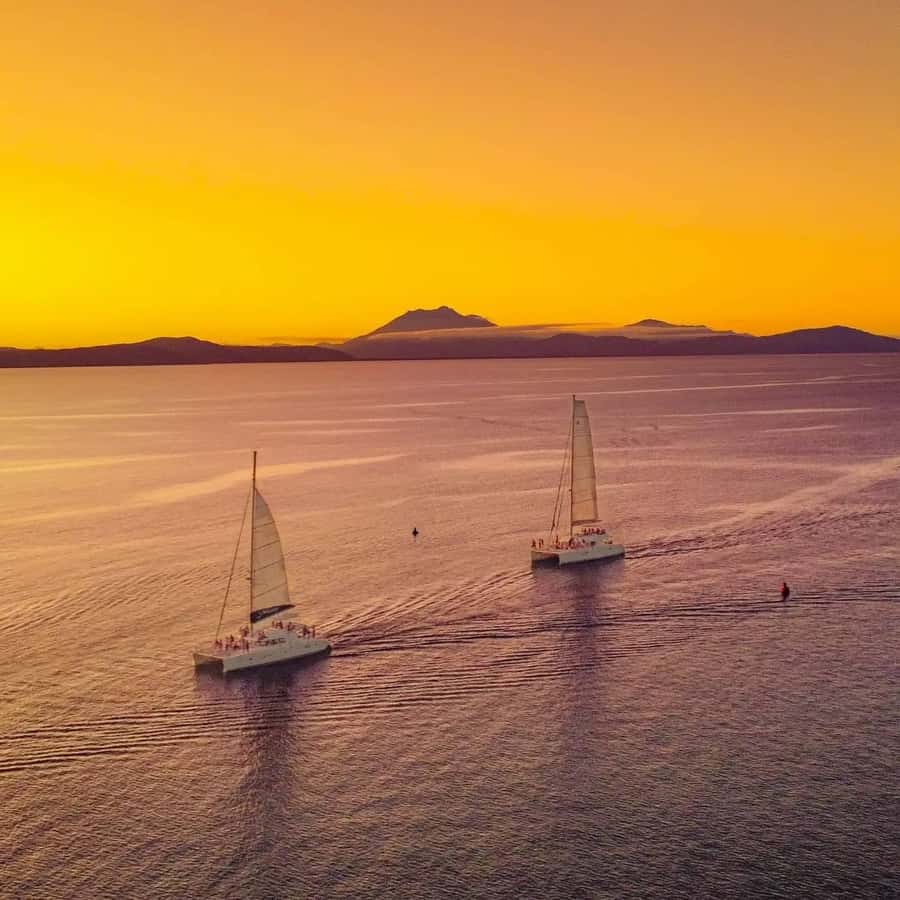 Port Douglas: Sunset Sailing Cruise on Luxury Catamaran - Sailing across the Coral Sea