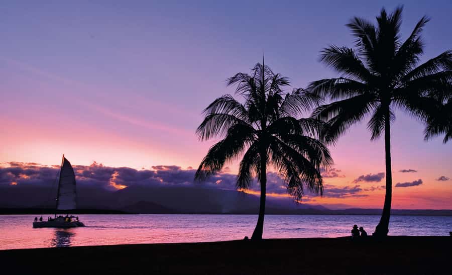 Port Douglas: Sunset Sailing Cruise on Luxury Catamaran - Who should choose this cruise?