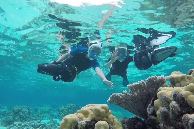 Premium Catamaran Afternoon Sail: Snorkeling and Lunch - Malmok Reef and the calmer Catalina Bay water