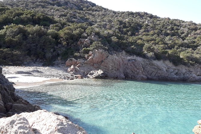 PREMIUM catamaran excursion archipelago of La Maddalena - Is $145.12 a fair price?