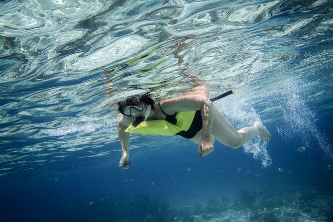 Private 4 hour Catamaran Tour - Starfish Point offers a gentler change of pace