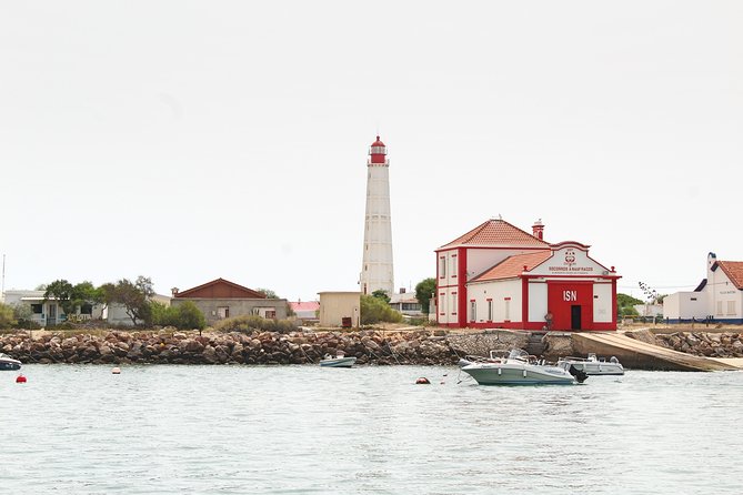 Private Catamaran Boat Tour - Ria Formosa - How much value do you get for $831.30?