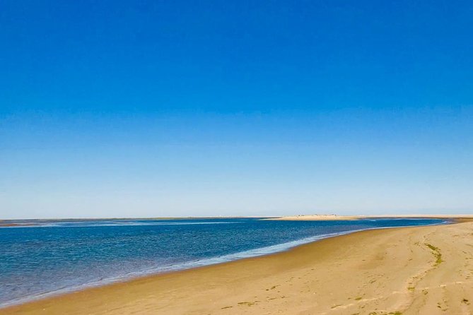 Private Catamaran Boat Tour - Ria Formosa - Ilha Deserta, the quiet beach stop near Faro