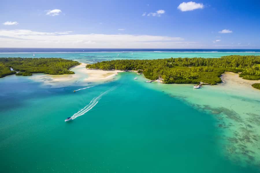 Private Catamaran Charter to Ile aux Cerfs - Dolphin watching with realistic expectations