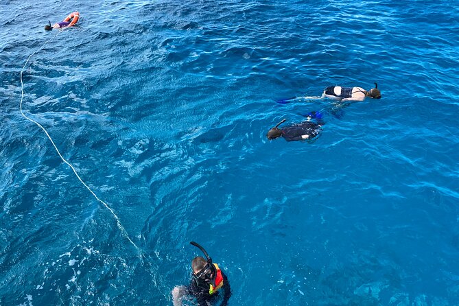 Private Catamaran Cruise and Snorkeling Tour in Honolulu - Snorkeling off Waikiki