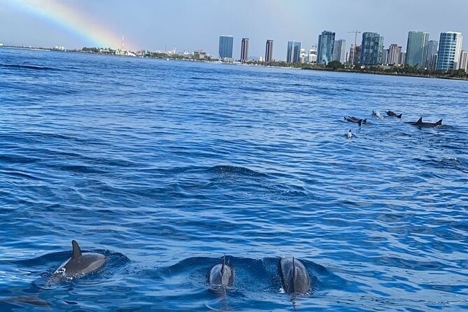 Private Catamaran Cruise and Snorkeling Tour in Honolulu - Is $749 a good value for six people?