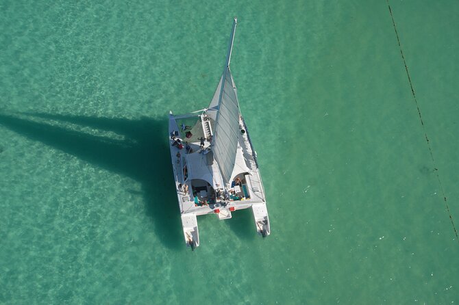 Private Catamaran Cruise to Bahia de las Aguilas - Who Will Enjoy This Boat Trip Most?